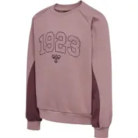 Hummel Sweat-shirt 'Kanna' mauve