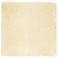 vidaXL Tapis en Peau de Mouton Synthétique Crème 160 x 160 cm