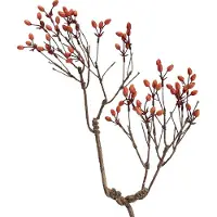 Clayre & Eef Décoration Branche 30x4x85 cm Orange Plastique