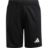 Adidas Tierro 26 Goalkeeper Shorts Noir 11-12 Years Enfants