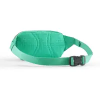 Patagonia Sacoche banane Mini Hip