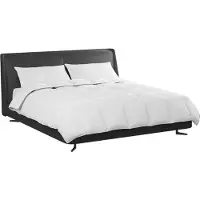 vidaXL Couette d'hiver avec oreiller 3 pcs Blanc Plume de duvet