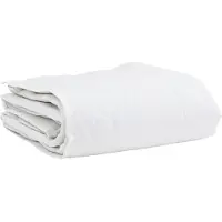 vidaXL Couverture d'hiver avec 2 oreillers, blanche, en duvet et plumes