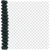 vidaXL Clôture en fil de fer soudé avec pointes, 10 x 1,5 m (L x H)