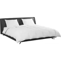 vidaXL Ensemble de couettes et oreillers , 3 pièces, blanc, en duvet