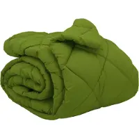 vidaXL Couverture d'hiver 200 x 240 cm, 450 g/m², vert