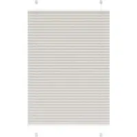 vidaXL Store plissé gris clair 95x100 cm largeur du tissu 94,4 cm