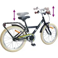 vidaXL Vélo enfant 20 pouces pour 6-11 ans noir