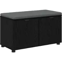 vidaXL Banc D'entrée Avec Coussin Chêne Noir 80 X 38 X 46 Cm