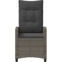 vidaXL Chaise de jardin 2 pièces Gris et gris foncé 56 x 60 x 112 cm