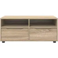 vidaXL : Meubles TV, 100 x 48 x 43 cm, imitation chêne Sonoma, panneaux de particules