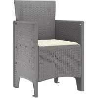 vidaXL : 2 chaises de jardin, gris clair, en polypropylène