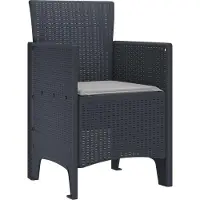 vidaXL : 2 chaises de jardin, anthracite, en polypropylène