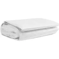 vidaXL Bâche de protection pour plantes, transparente, 5 x 8 m, PE