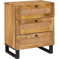 vidaXL Cabinet de chevet Naturel 50 x 33 x 60 cm Bois de mangue massif