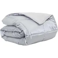 vidaXL Couverture d'été argentée 200 x 220 cm en satin et microfibre