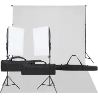 vidaXL Kit de studio photo avec éclairage et toile de fond
