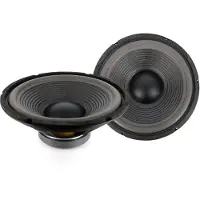 HomeShopXL Haut-parleur - HSP 005 - 12" / 300 mm - 150 / 300 W 8 ohm