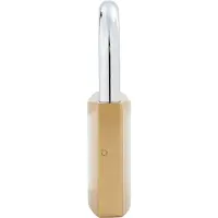 vidaXL U Lock avec Clés 2 pcs Laiton Fer