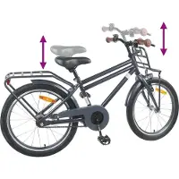 vidaXL Vélo enfant 20 pouces pour enfants de 6 à 11 ans Gris foncé