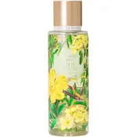 Victoria's Secret Wild Willow Brume pour le Corps 250 ml