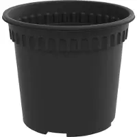 vidaXL Pot À Fleurs Rond 24 Pcs Noir Ø 15 X 12 Cm Plastique