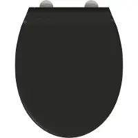 vidaXL Siège de toilette noir 45,5 x 37,5 x 3,8 cm Duroplast