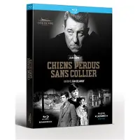 Coin De Mire Chiens perdus sans collier Blu-ray