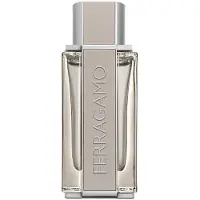 Salvatore Ferragamo Bright Leather Eau de Toilette Spray (100 ml)