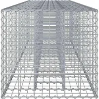 vidaXL Gabions pour potager surélevé 2 pièces Argent 340 x 60 x 55 cm