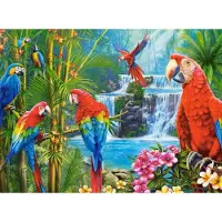 Castorland Puzzle 2000 pièces Parrot Meeting 200870