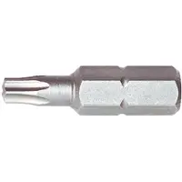Makita Zubehör P-53578 Schraubenbit TR10x25mm 2 Stk.