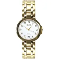 BWC Swiss montre Homme 20774.51.05