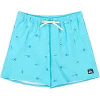 Quiksilver - Short de bain - Stretch Printed Volley 16 Aqua Spaced Out pour Homme - Taille S - Bleu