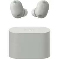 Sony WF-1000XM6 Argent