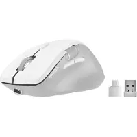 Speedlink Sl-630021-wt Wireless Mouse Blanc
