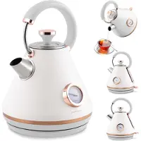 Berdsen Bouilloire électrique Théière Sélection de la température 1,7L BD-701 blanc