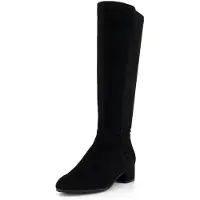 Dune London Bottes 'Tayla' noir