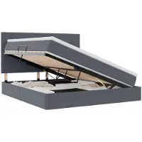 vidaXL Lit coffre à LED avec matelas, gris foncé, 160 x 200 cm, velours