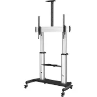 StarTech.com .com STNDMTV100 support pour téléviseur 2,54 m (100") Noir, Argent