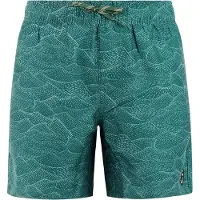 Protest Floris Swimming Shorts Vert,Bleu 164 cm Garçon
