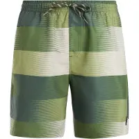 Protest Lomond Swimming Shorts Vert S Homme