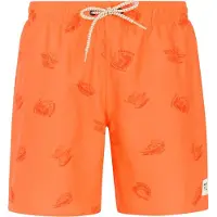 Protest Hector Swimming Shorts Orange 176 cm Garçon