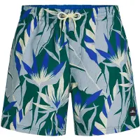 O'Neill Boardshorts chamois / bleu roi / bleu-gris / vert