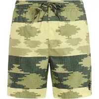 Protest Keswick Swimming Shorts Vert L Homme