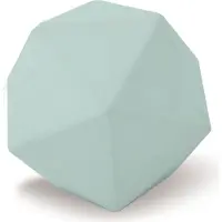 Poolomio Absorberende Zwembadsponzen 2 stuks