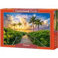 Castorland Puzzle Miami, USA - 3000 pièces