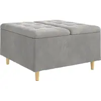 vidaXL Coffre de rangement capitonné en velours, gris clair, 80 x 80 x 45 cm