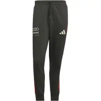 Adidas Pantalon de sport 'Audi Formula One Team DNA' gris foncé / rouge / blanc