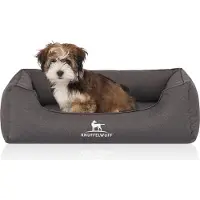Knuffelwuff Lit pour chien Leon Velour M - L, 85 x 63 cm, Anthracite (Chien)